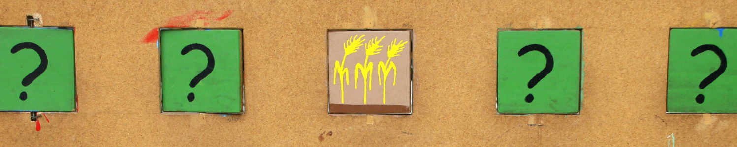 "Training isn’t the issue - Forgetting is​" banner image